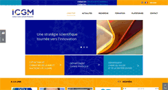 Desktop Screenshot of icgm.fr